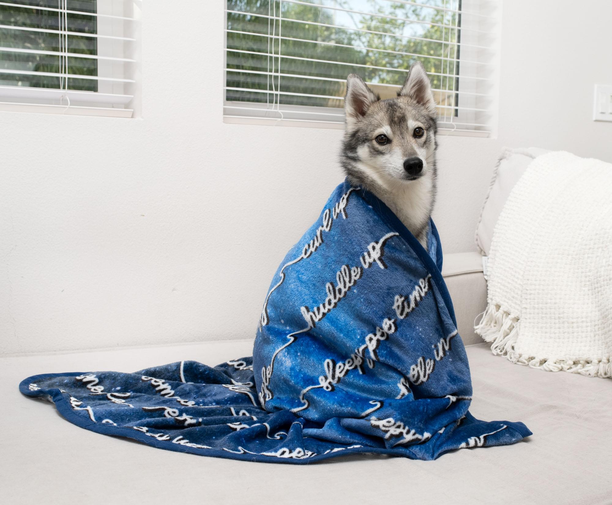 Cozy Dream Fleece Throw Blanket - 45 x 60 Inches