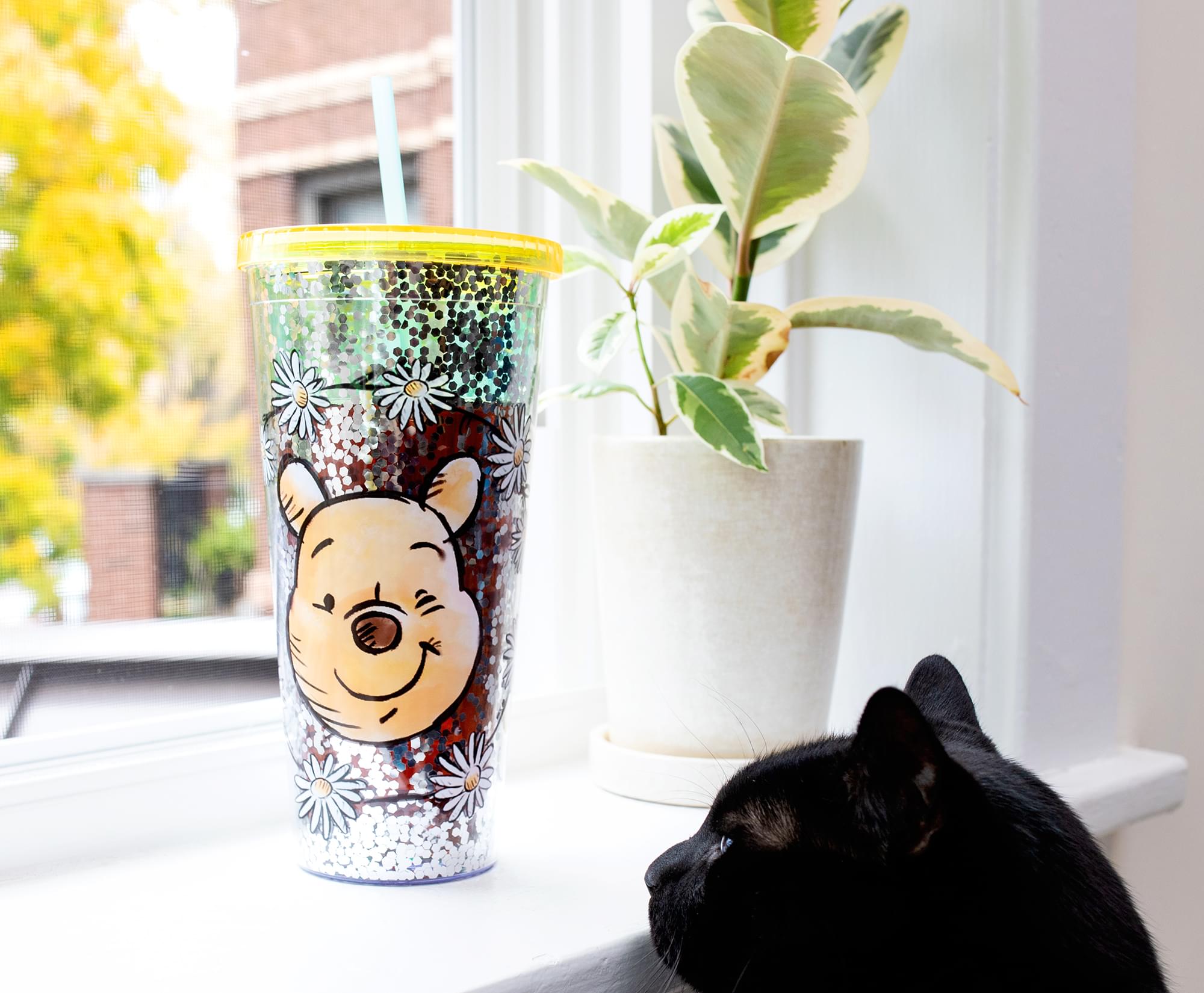 Disney Winnie the Pooh 32 - Ounce Confetti Carnival Cup with Lid and Straw