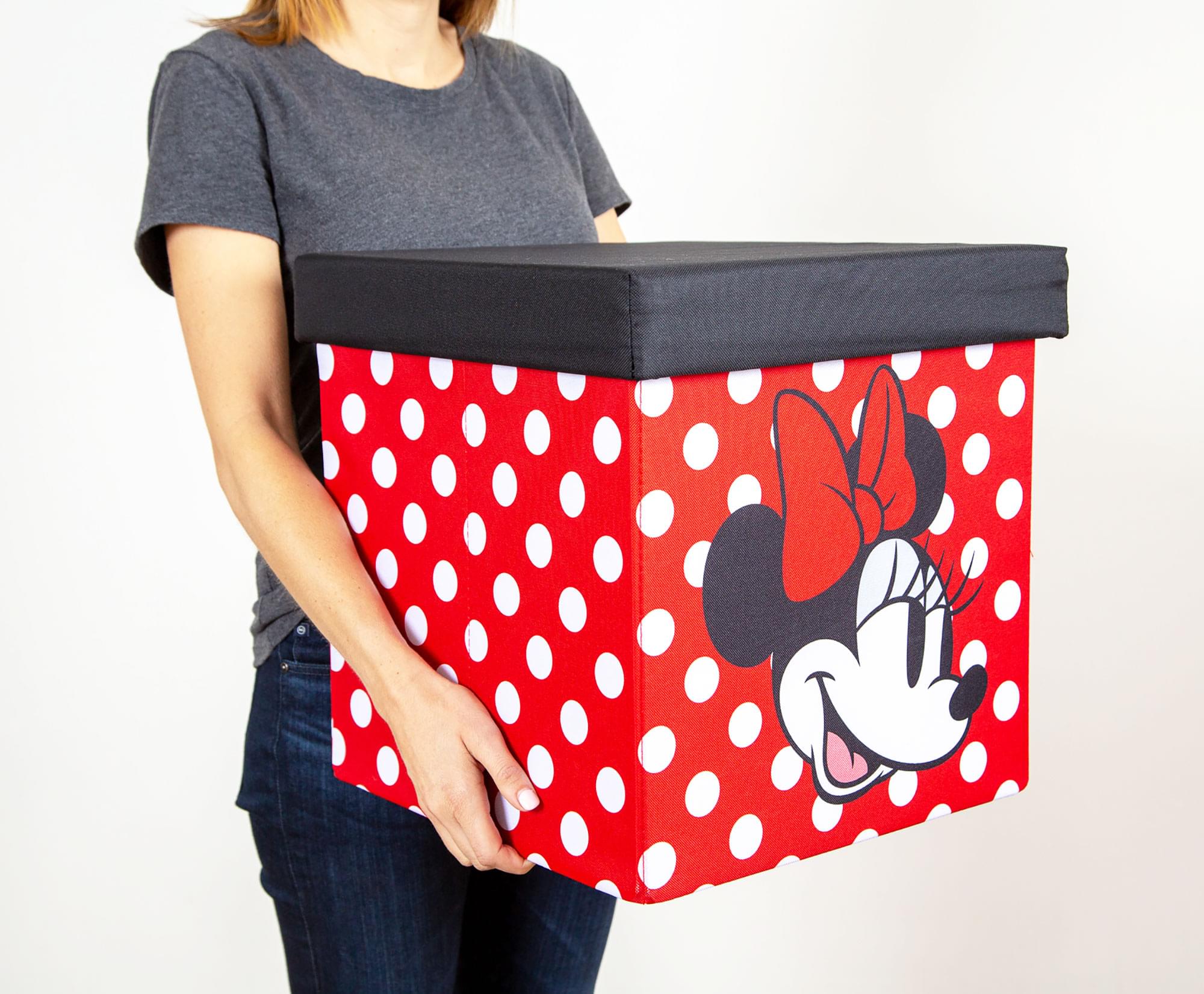 Disney's Enchanting 15-Inch Mickey & Minnie Storage Bin Cube Organizers with Lids - Set of 2