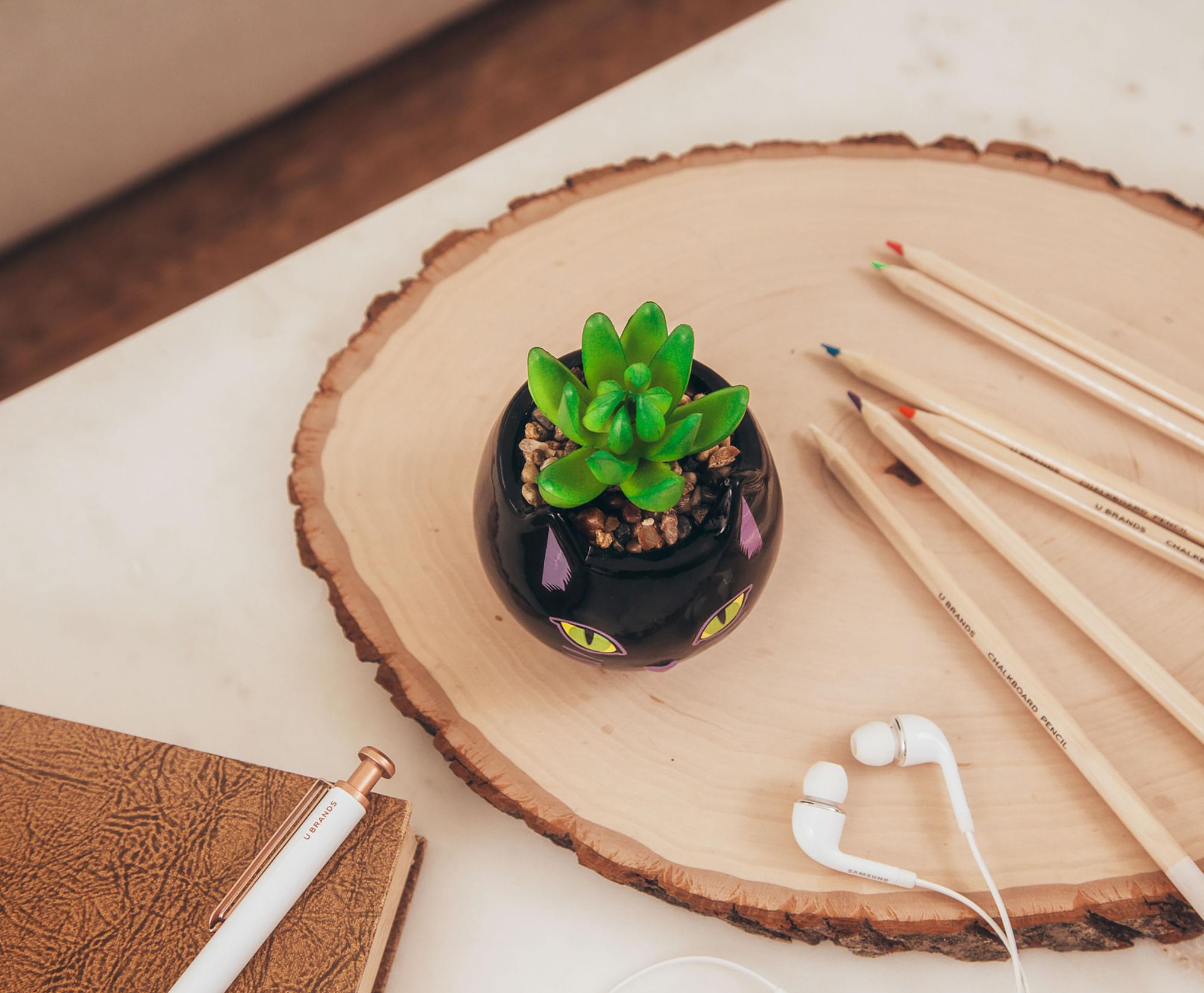 Disney Hocus Pocus Enchanting Binx Ceramic Planter with Artificial Succulent