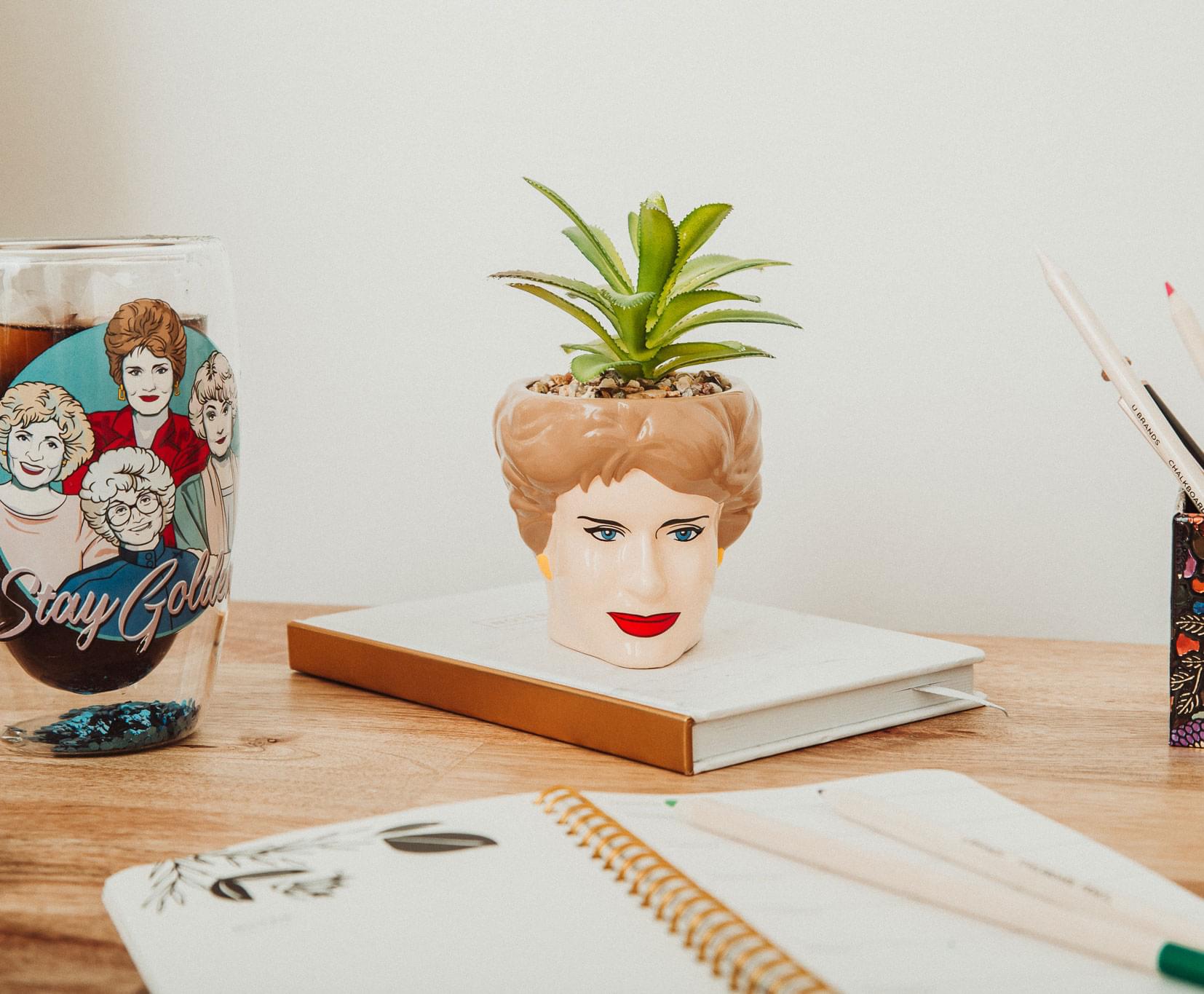 Golden Girls Blanche Ceramic Mini Planter with Artificial Succulent