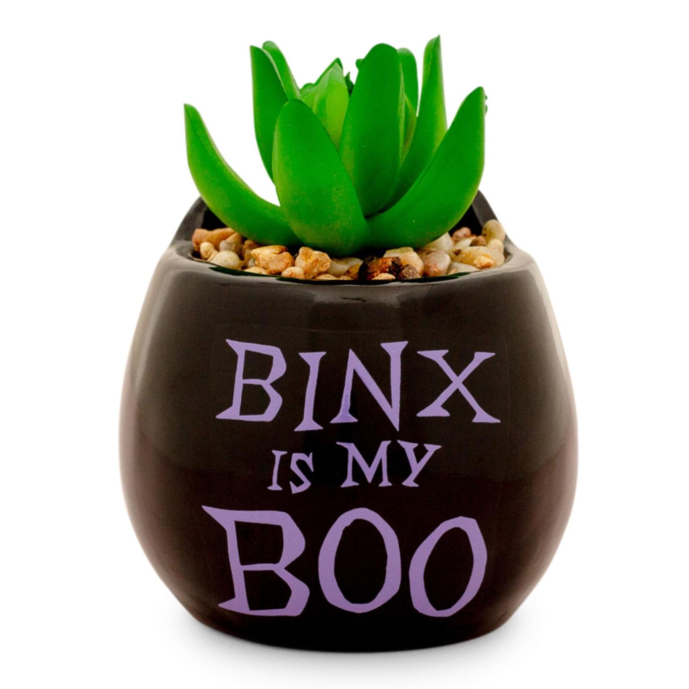 Disney Hocus Pocus Enchanting Binx Ceramic Planter with Artificial Succulent