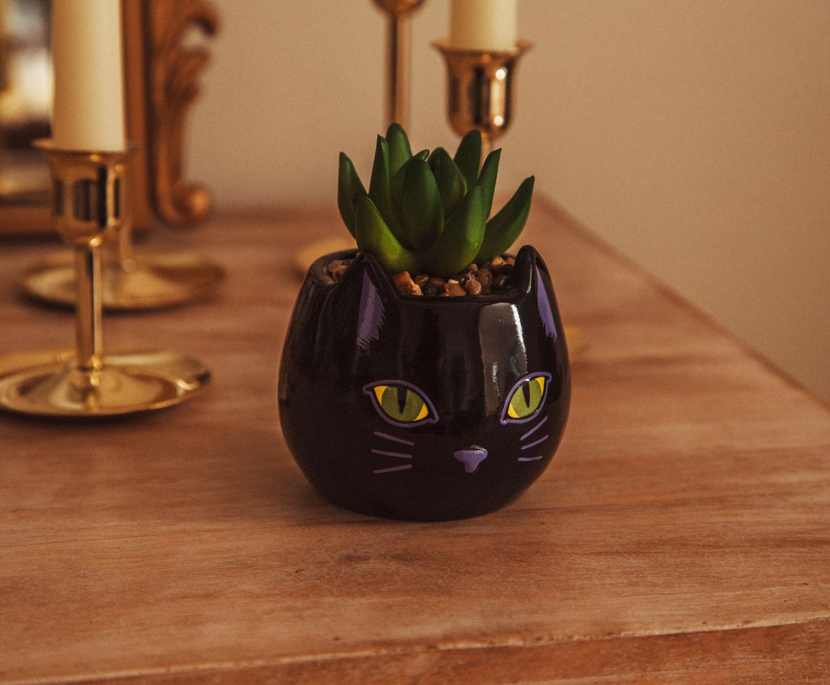 Disney Hocus Pocus Enchanting Binx Ceramic Planter with Artificial Succulent