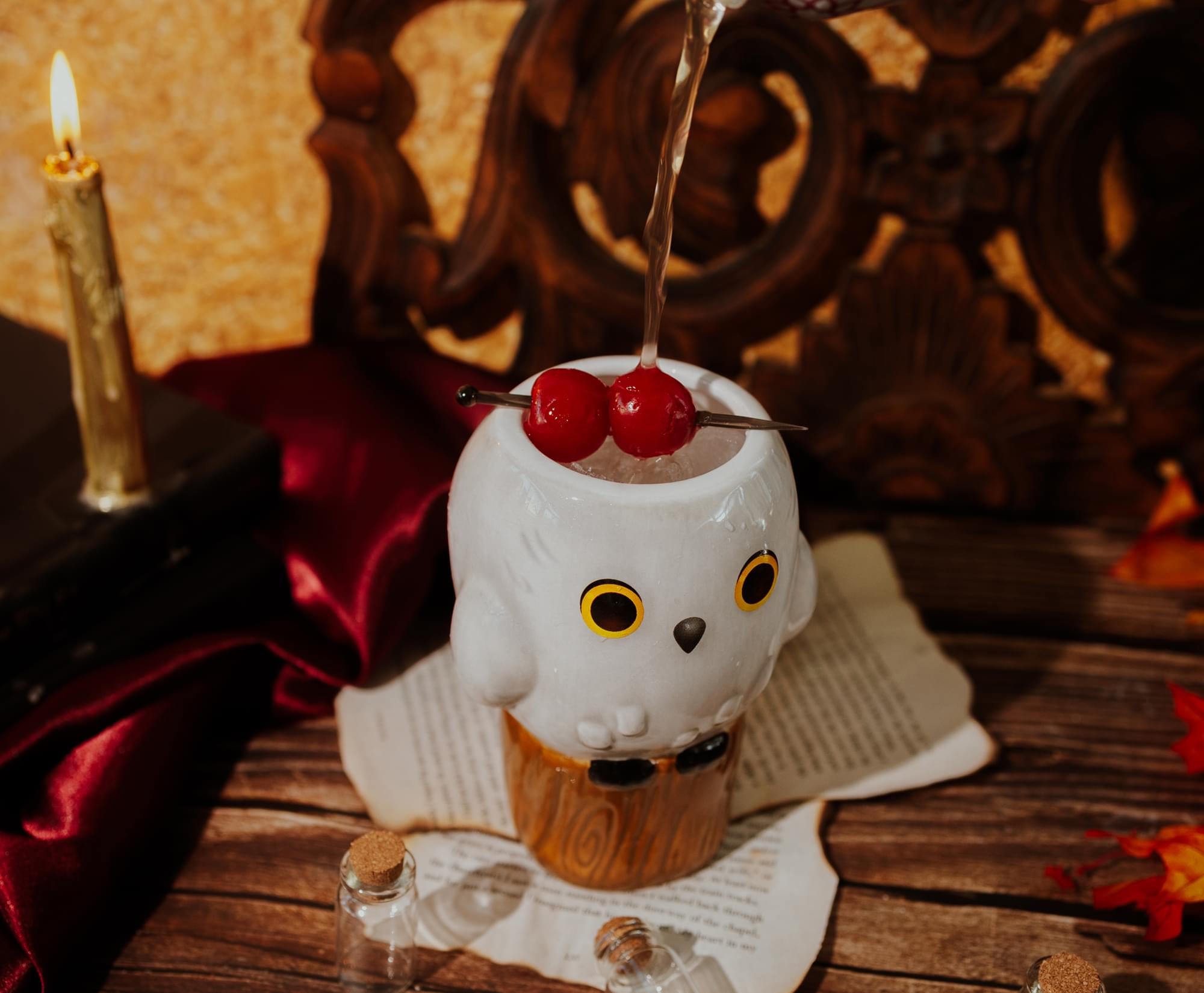 Adorable Harry Potter Hedwig Ceramic Mug - 14 Oz