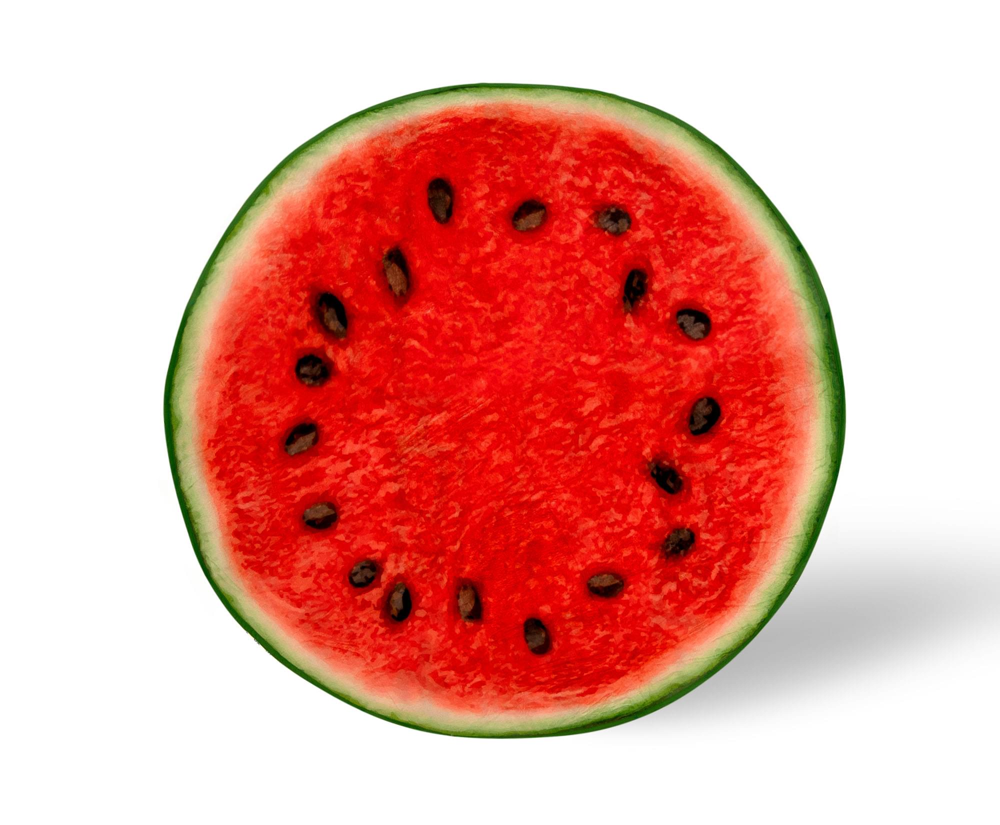 Round Watermelon Slice Fleece Throw Blanket - 60 Inches