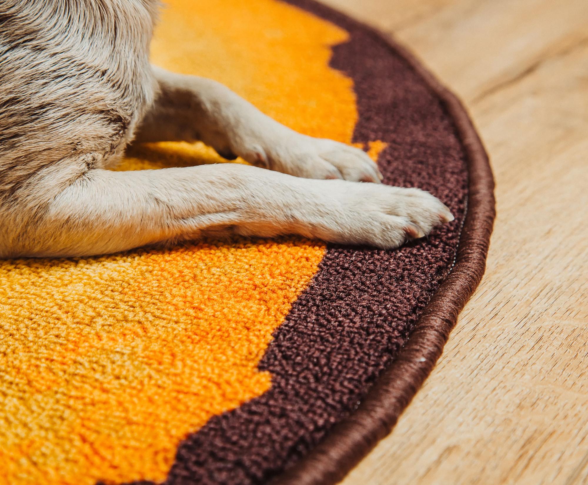 Roar into Style: Jurassic World 39-Inch Round Area Rug