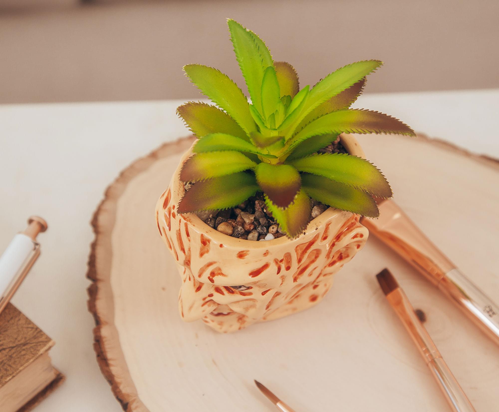 Nightmare Fuel: Freddy Krueger Ceramic Planter with Artificial Succulent