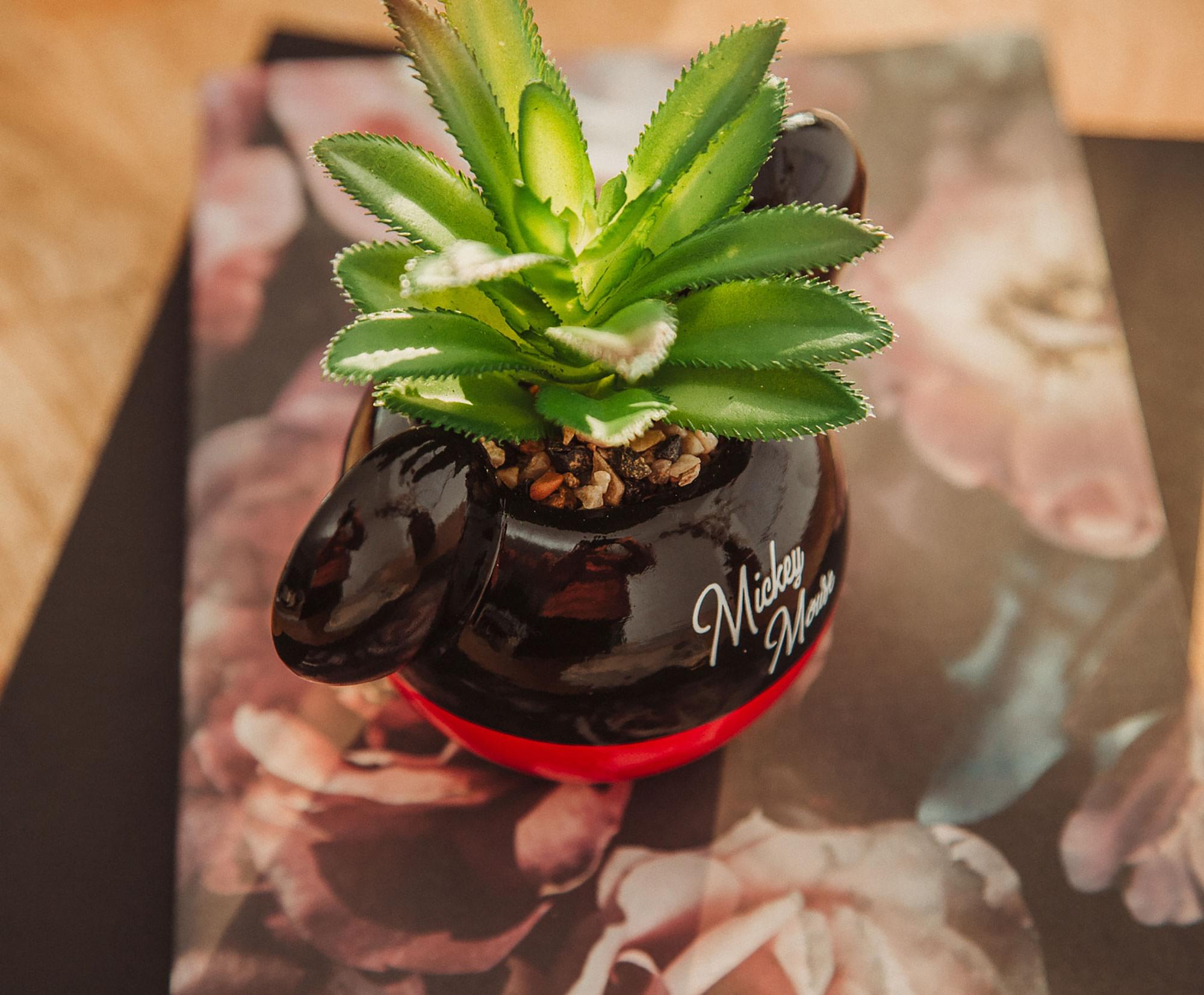 Enchanting Disney Mickey Mouse 3-Inch Ceramic Mini Planter with Artificial Succulent