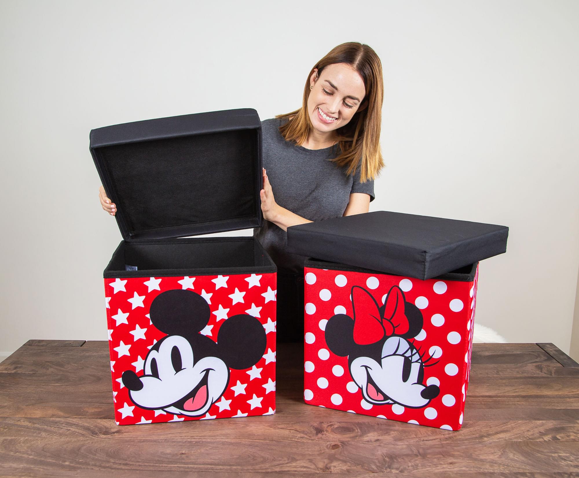 Disney's Enchanting 15-Inch Mickey & Minnie Storage Bin Cube Organizers with Lids - Set of 2