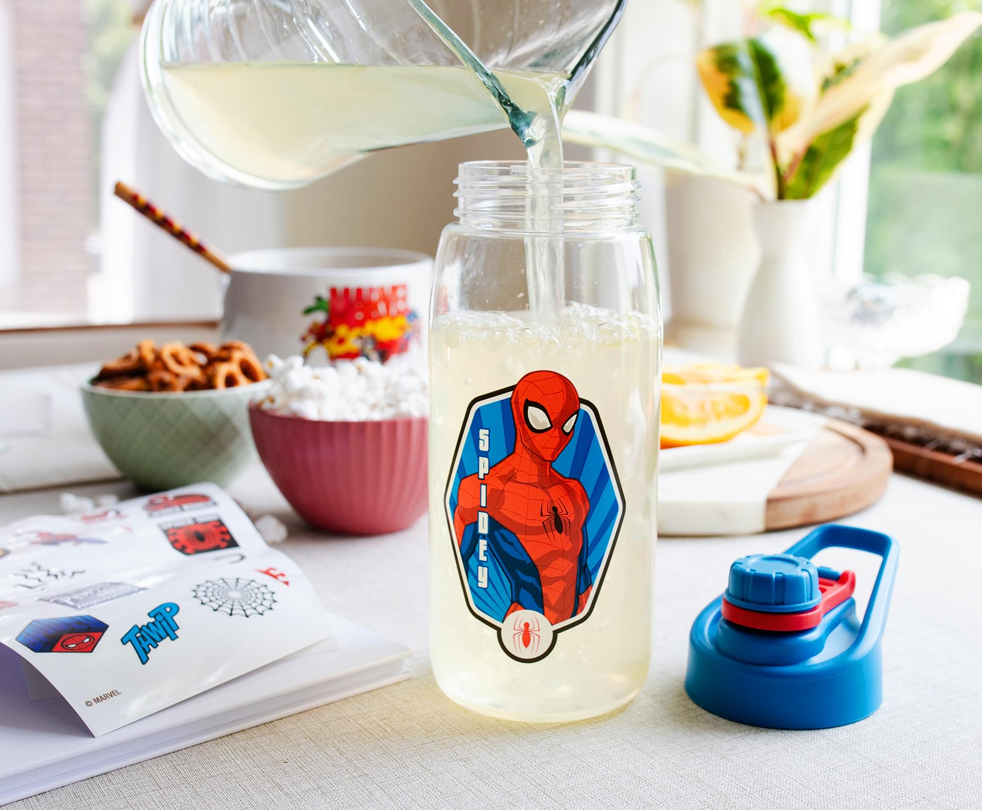 Spider-Man Hinged Handle Plastic Water Bottle & Sticker Set - Your Marvel Adventure!