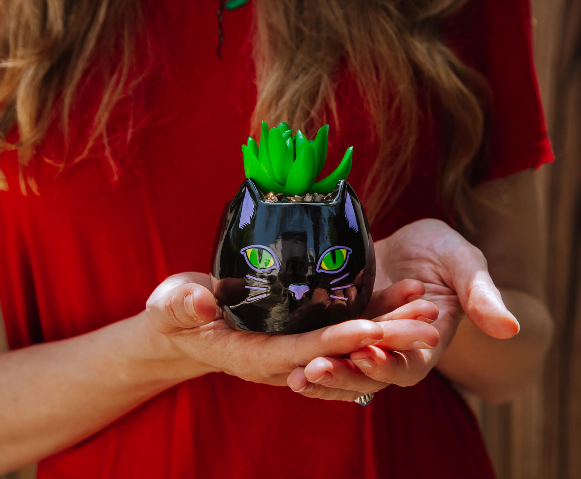 Disney Hocus Pocus Enchanting Binx Ceramic Planter with Artificial Succulent