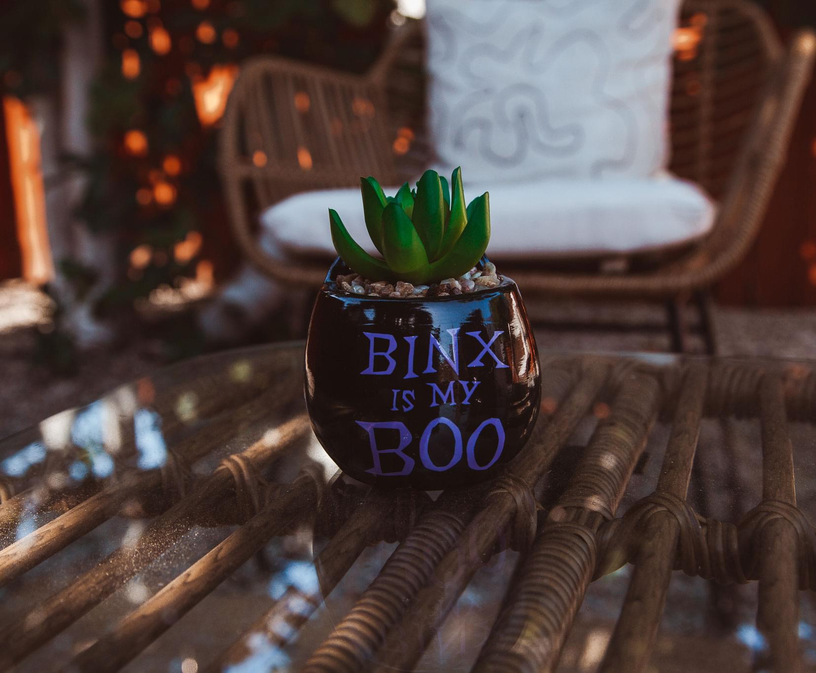 Disney Hocus Pocus Enchanting Binx Ceramic Planter with Artificial Succulent
