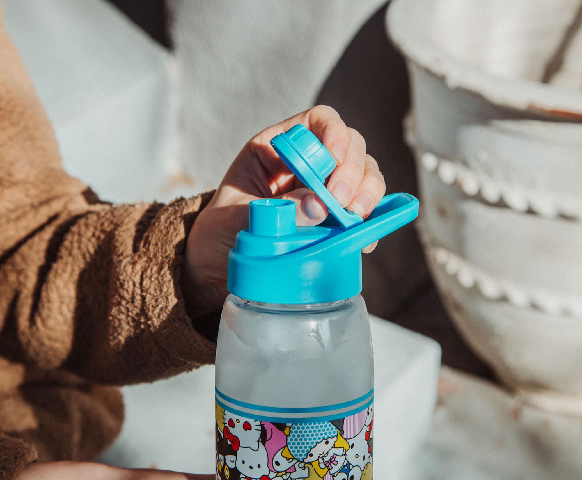 Sanrio Hello Kitty Friends Screw-Top Plastic Water Bottle