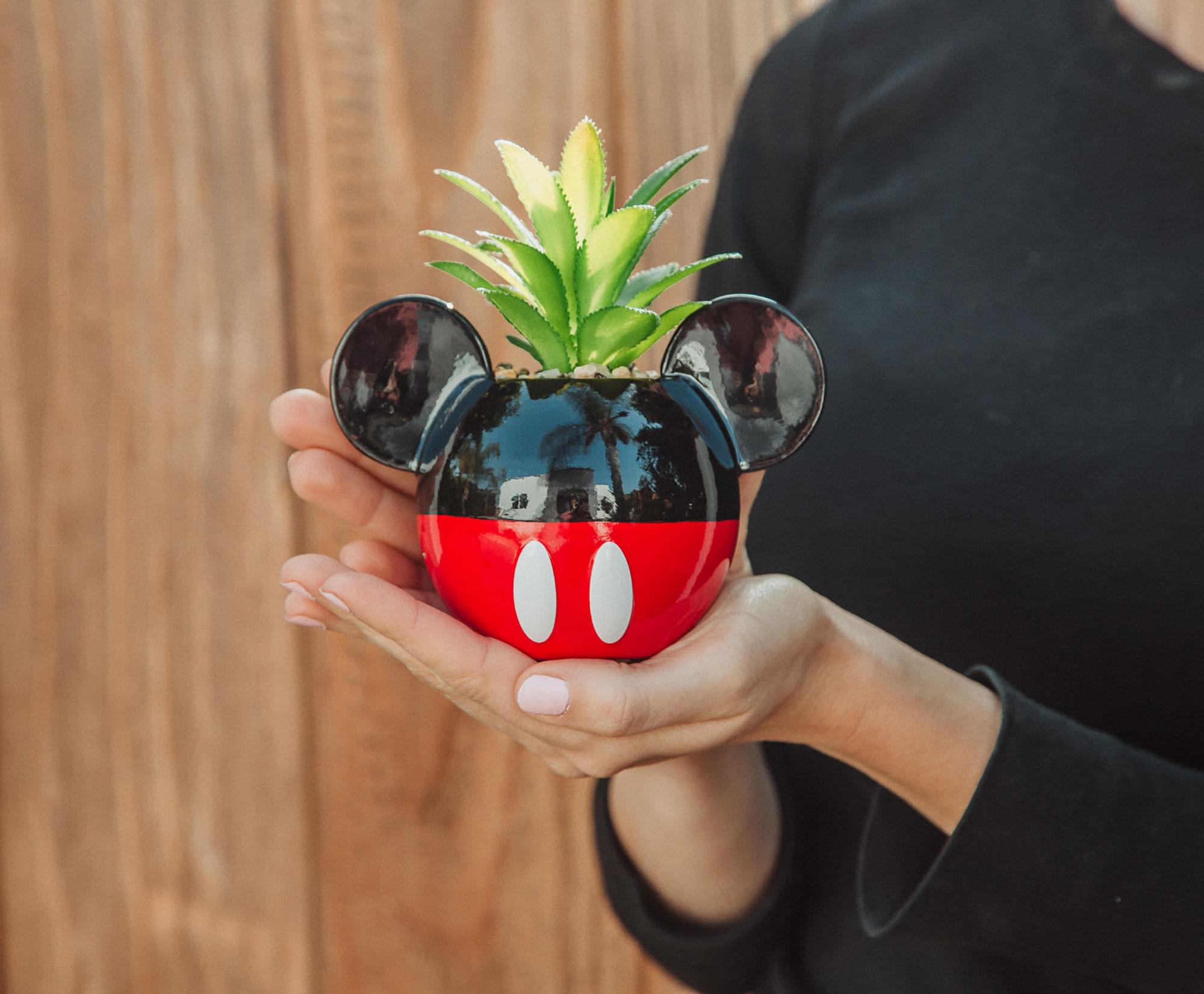 Enchanting Disney Mickey Mouse 3-Inch Ceramic Mini Planter with Artificial Succulent