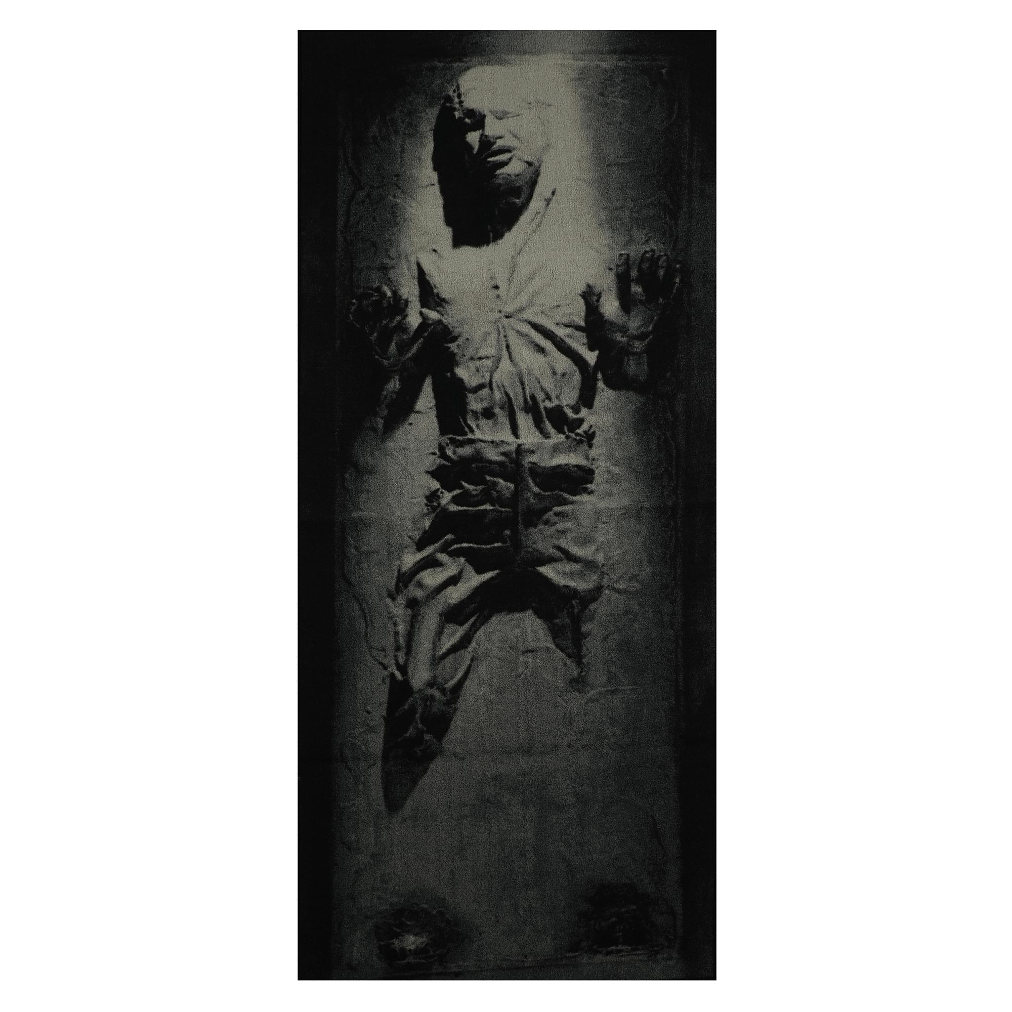 Epic Star Wars Han Solo in Carbonite Small Area Rug - 32 x 72 Inches