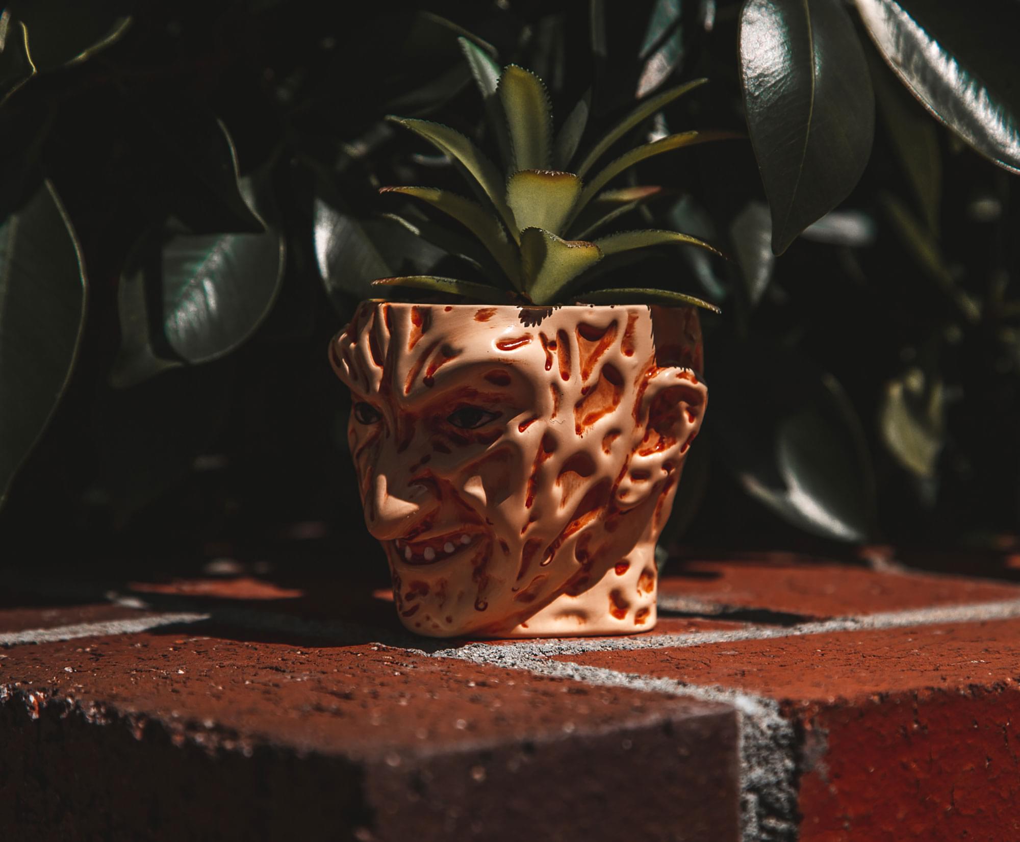 Nightmare Fuel: Freddy Krueger Ceramic Planter with Artificial Succulent