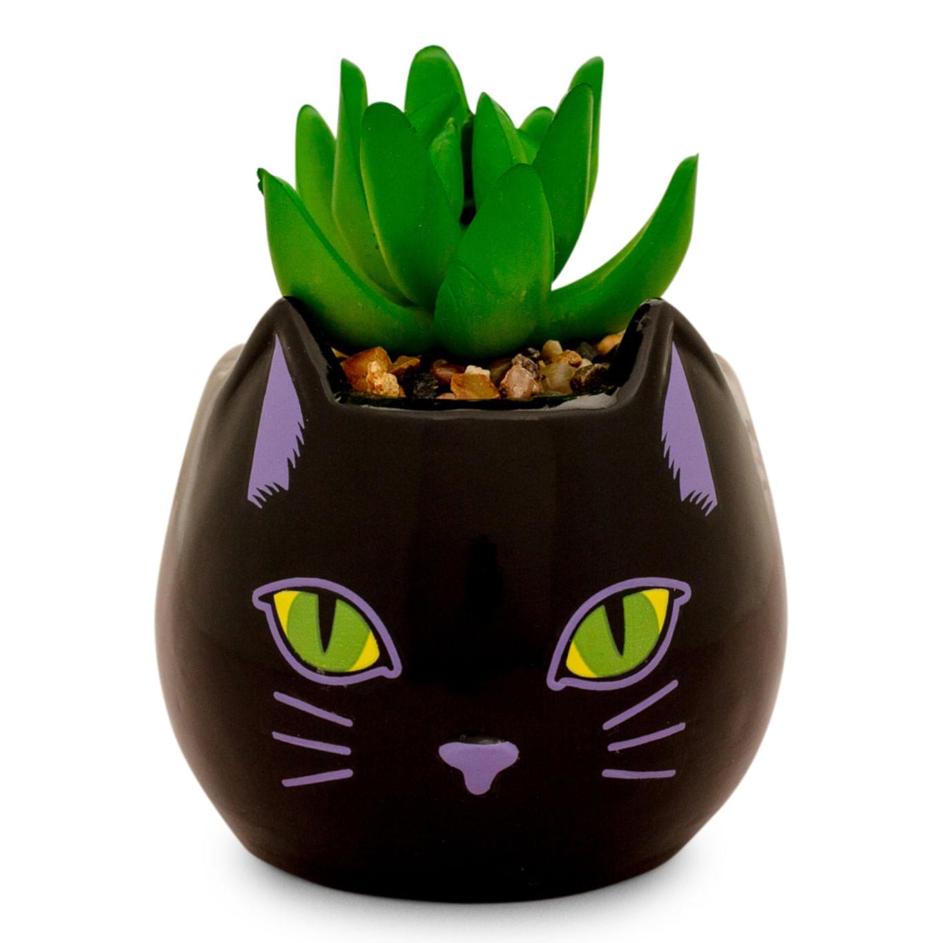Disney Hocus Pocus Enchanting Binx Ceramic Planter with Artificial Succulent