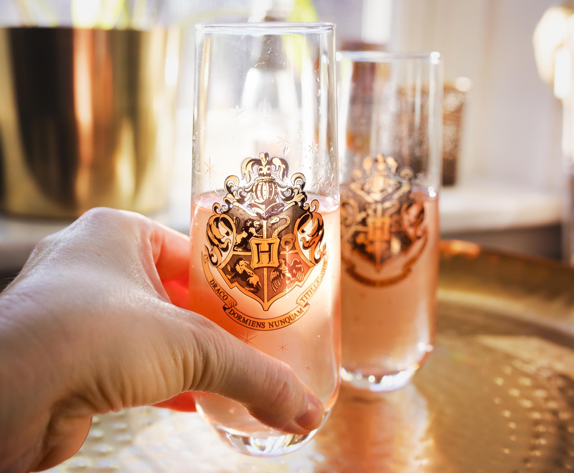 Harry Potter Hogwarts 9 - Ounce Magic Flute Stemless Glasses (Set of 2)