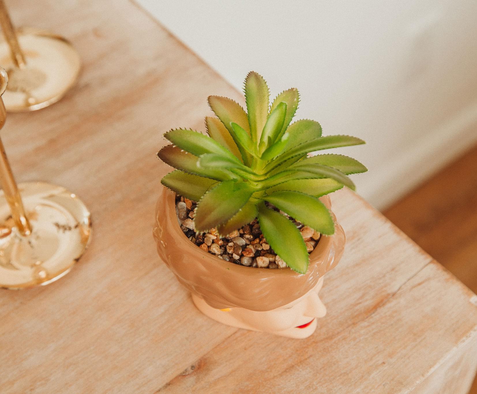 Golden Girls Blanche Ceramic Mini Planter with Artificial Succulent