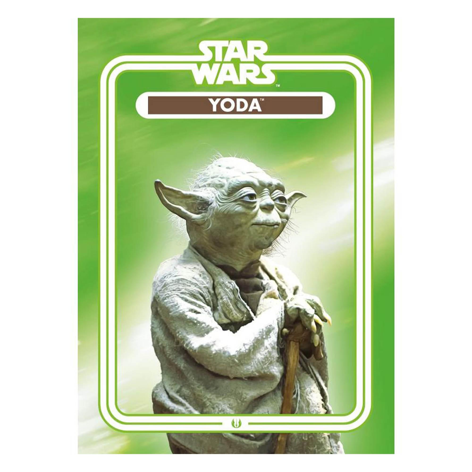 Star Wars Yoda Flat Magnet - 2.5 x 3.5 Inch