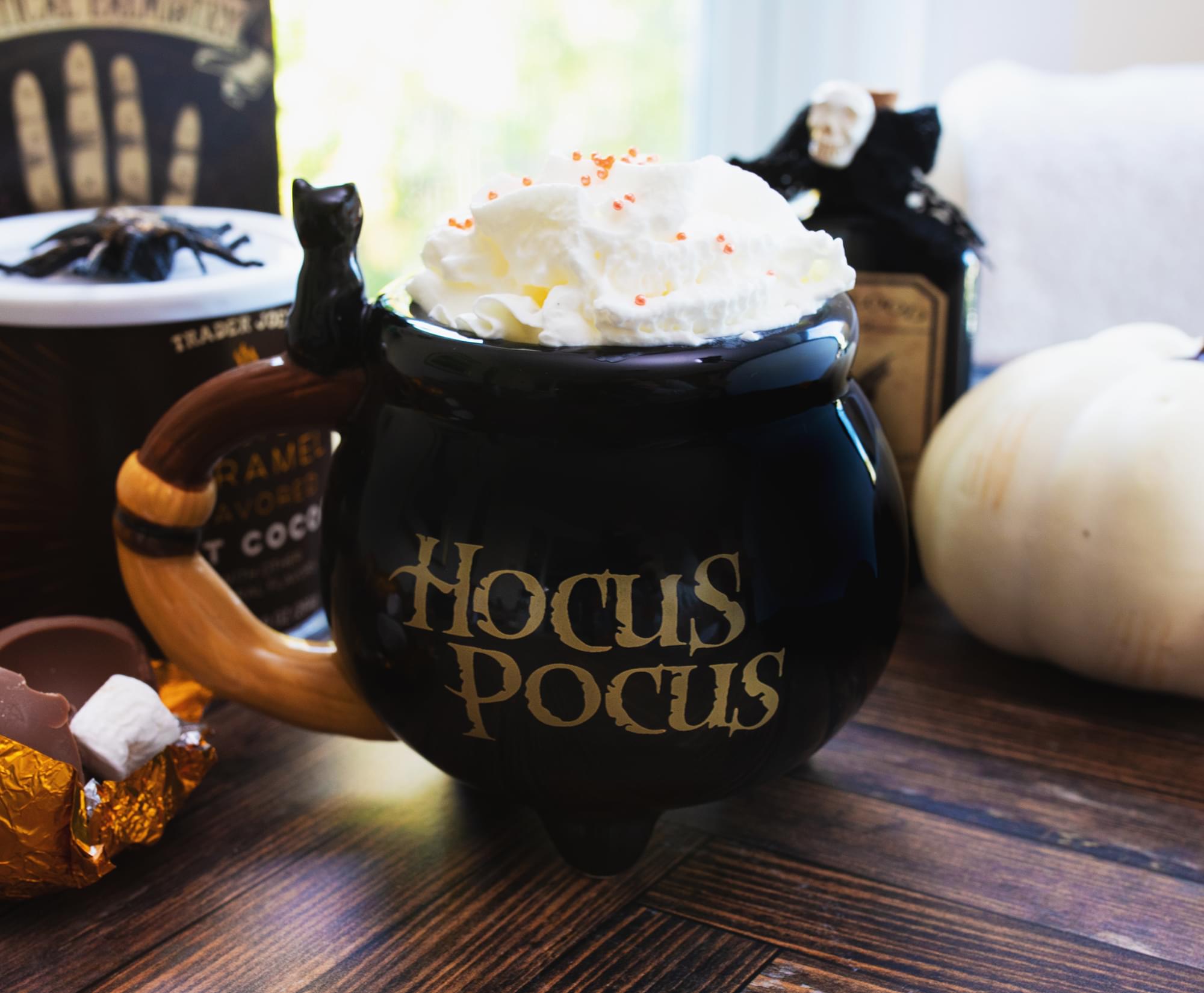 Enchanting Disney Hocus Pocus Sanderson Sisters Ceramic Cauldron Mug - 20 Oz