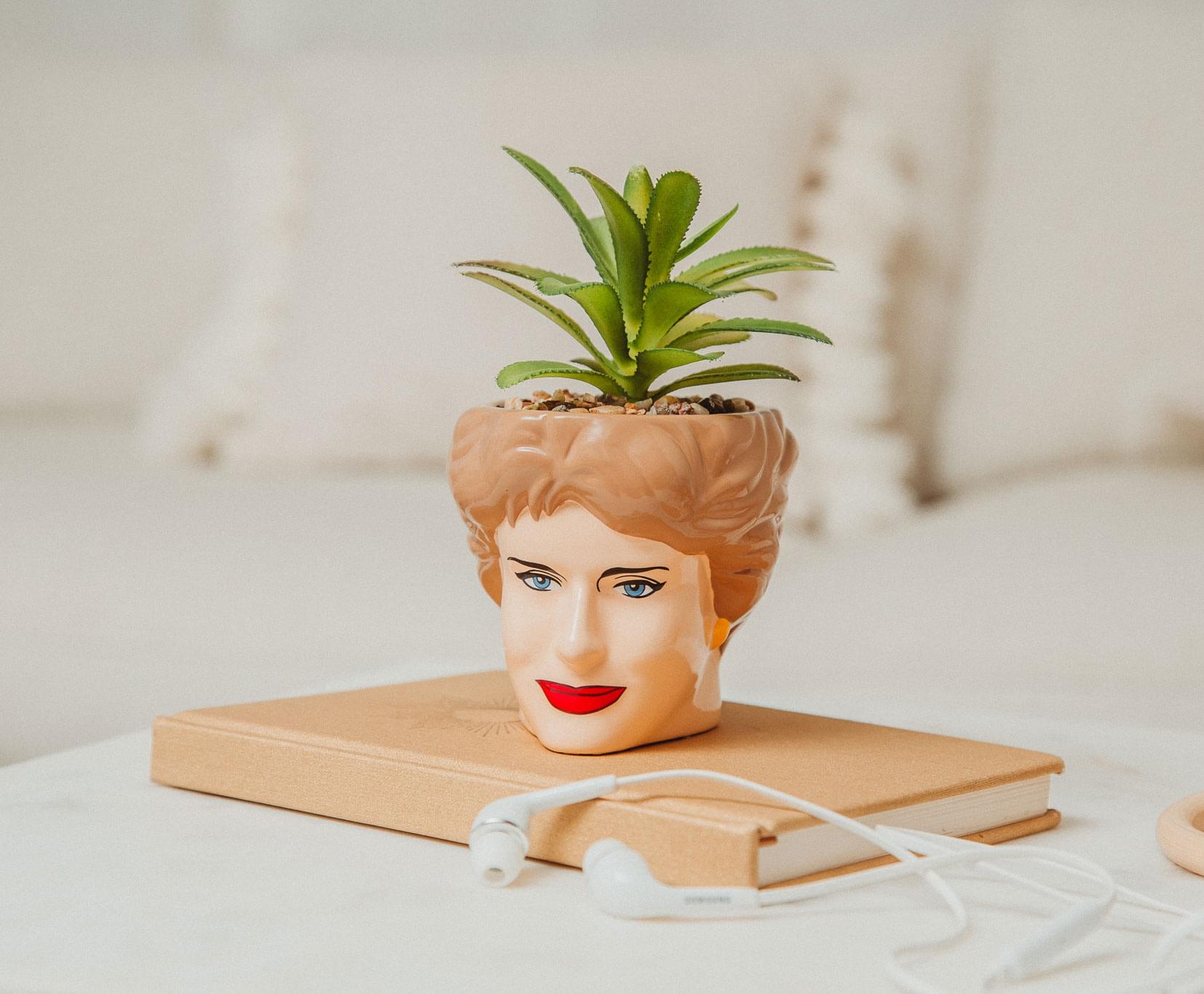 Golden Girls Blanche Ceramic Mini Planter with Artificial Succulent