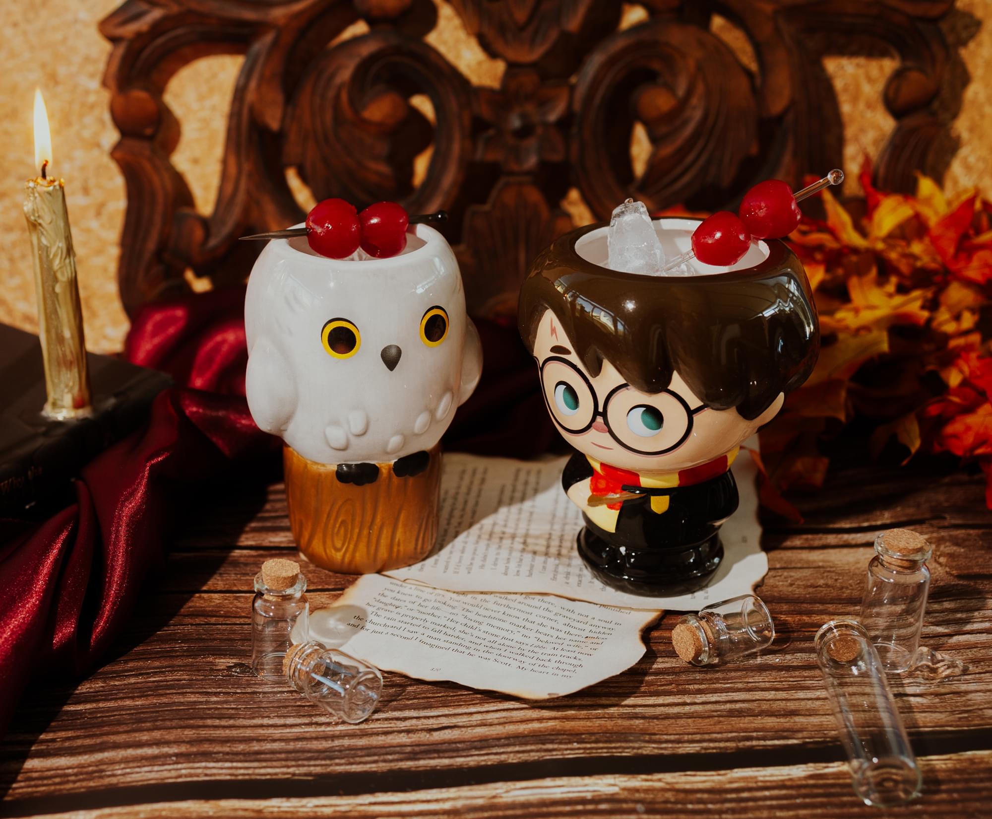 Adorable Harry Potter Hedwig Ceramic Mug - 14 Oz