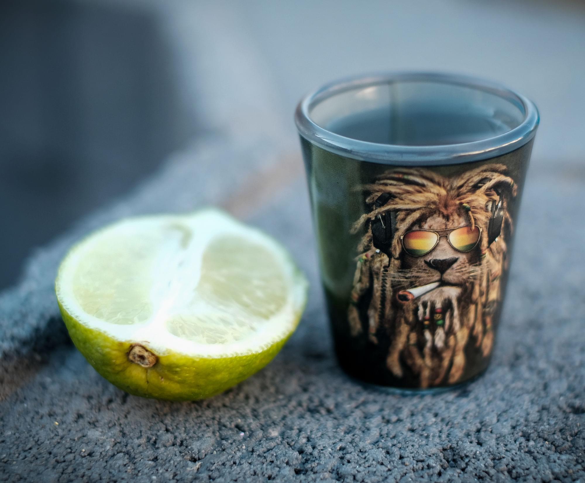 Roar! 2oz Animal - Themed Shot Glass