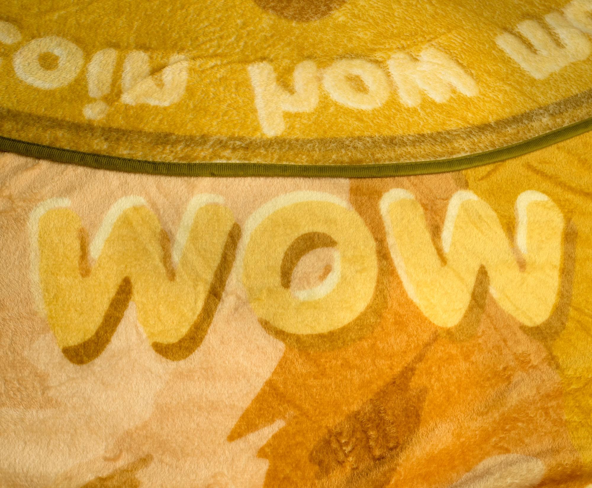Dogecoin Cryptocurrency Round Fleece Blanket - 60 Inches of Cozy Fun
